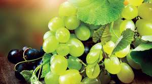 Виноград — не только вкусно, но и полезно